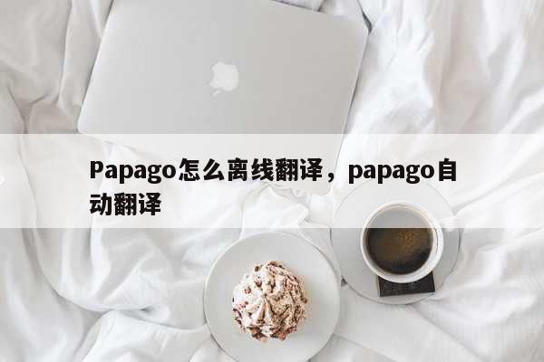 Papago怎么离线翻译，papago自动翻译 科普