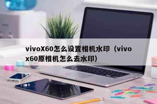 vivoX60怎么设置相机水印（vivox60原相机怎么去水印） 科普