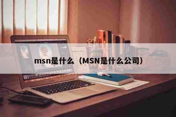 msn是什么（MSN是什么公司） 健康