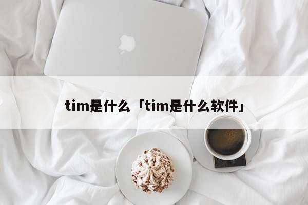 tim是什么「tim是什么软件」 文化