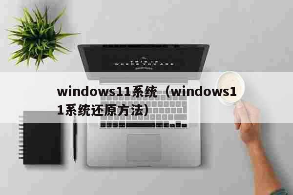 windows11系统（windows11系统还原方法） 文化