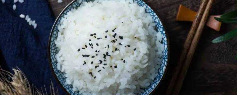 一个人的米饭需要多少水和米 生活