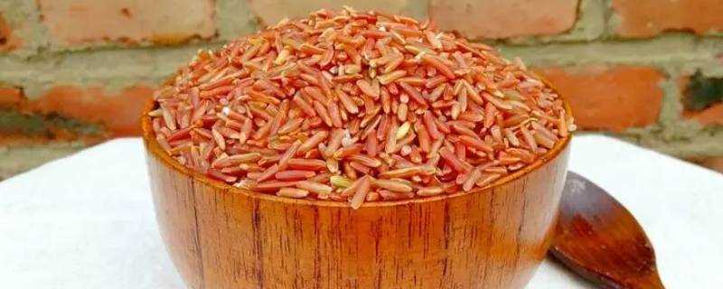 红色米是什么米 生活