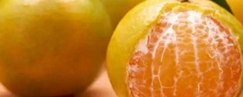 柑和橘的区别 生活