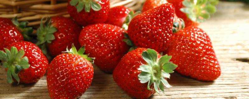 冬天有草莓吗 生活