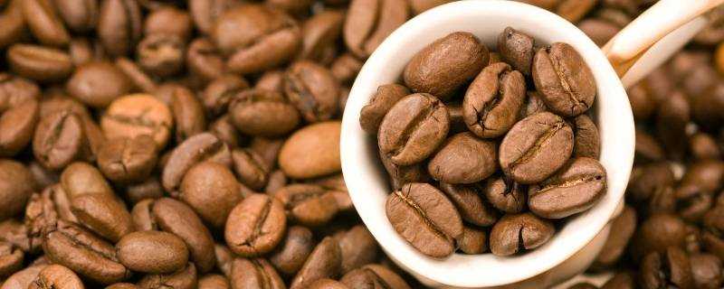 咖啡豆品种 生活